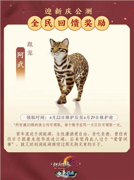绍兴人天龙八部私服